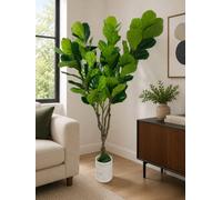 SC FURNITURE LIMITED Artificial Fiddle Leaf Fig Plant Tree 220Cm Lxg292