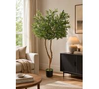 SC FURNITURE LIMITED Artificial Olive Plant Tree 150Cm Yd309