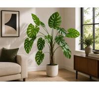 SC FURNITURE LIMITED Artificial Swiss Cheese Plant Tree 200Cm Lxg268