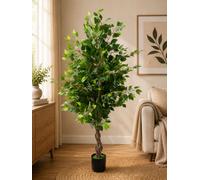 SC FURNITURE LIMITED Artificial Tall Fig Plant Tree 180Cm Yd184W