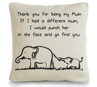 SC Products Cushion Cover Funny Gifts for Mum from Son | 45x45cm Gift For Mom Pillow Case from Daughter | Presents For Mum Gifts for Christmas Mummy Stocking Fillers | Mothers Day Presents for Mam