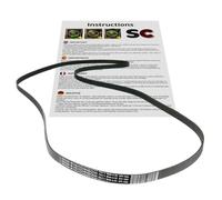 SC Solocorreas - 8PH 1956 L2962470300 Dryer Belt
