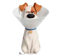 SC1383 Max the Dog wearing a Cone Collar Lifesize Cardboard Cutout/Standee/Standup Height 92cm Width 67cm Perfect for fans, collectors and events
