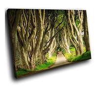 SC837SB Framed Canvas Print Colourful Wall Art - Green Dark Hedges Ireland - Modern Scenic Living Room Bedroom Piece Home Decor Interior Design Easy Hang Guide (45X30CM)
