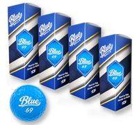 Scale Wear Design Funny Blue 69 Golf Balls - Prank & Novelty Golf Accessories for Men Gag Gift Golfers Birthday Dad Pro Golf Glove Bag Cart Glove