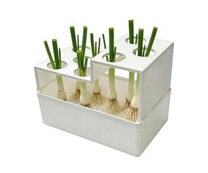 Scallion Planter Box - Ventilated Growing Pot 14x7.5x7cm, Leakproof Holder | Home Vegetable Cultivation Container Advanced Root Oxygen Circulation System Fresh Produce Regrowth Organizer Balcony