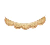 Scalloped Fringe Backdrop for Glittering Birthday Parties Glittering Decoration Photo Booth Backdrop PET Party Deck Border Wreath Standard