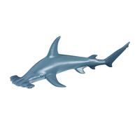 Scalloped Hammerhead Shark