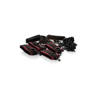 Scandal Bed Restraints