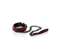 Scandal Collar with Leash