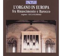 Scandali, Luca - Organ in Europe-Renaissance to