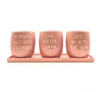 Scandi Home Set of 3 Pink Slogan Ceramic Planters with Tray - Pink