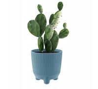 (Scandinavian blue, 15cm) Plant Pots Indoor Outdoor Plastic Flowerpot Small Medium Large RYFO 5 Colours