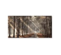 Scandinavian Sunshine Shadow Trees Canvas Painting Poster Landscape Forest Path Wall Art Pictures Prints For Home Decor 50x100cm(20x40in) with frame