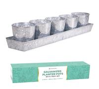 SCANDINORDICA Galvanized Herb Planter - 5 Herb Pots with Drainage Holes and Tray, Windowsill Planter, Indoor Herb Garden Planter Outdoor, Herb Pots for Indoor Plants | Windowsill Herb Garden