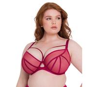 Scantilly by Curvy Kate Senses Plunge Bra - Cherry - 32E