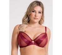 Scantilly Women's Suspense Plunge Bra in Purple | Size: 34DD Scantilly Purple 34DD