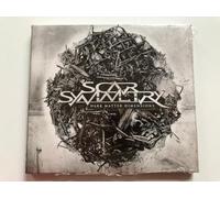 Scar Symmetry - Dark Matter Dimensions