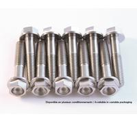 SCAR Titanium Screw Kit M6x15 By 2