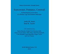 Scarcewater, Pennance, Cornwall: Archaeological excavation of a Bronze Age and Roman landscape: Archaeological excavation of a Bronze Age and Roman ... Archaeological Reports British Series)