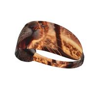 Scared Kitten Elastic Exercise Headband Absorbent Breathable for Running and Outdoor Activities