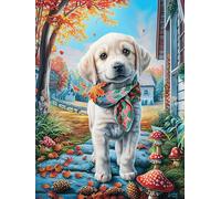 Scarf Labrador Retriever 500 Pc DIY Jigsaw Puzzle Natural Scenery Animals Puzzles for Adults Teens Hard Challenging Team Building Stress Reducing Autumn Rigid Cardboard 500 PCS