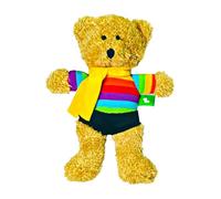 Scarlaroo Plush Teddy Bear Dog Toy - Rainbow Ted for Small Dogs and Puppies