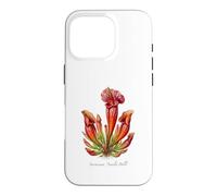 Scarlet Belle Plant illustration Sarracenia 'Scarlet Belle' Case for iPhone 16 Pro