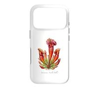 Scarlet Belle Plant illustration Sarracenia 'Scarlet Belle' Case for iPhone 17 Pro