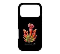 Scarlet Belle Plant illustration Sarracenia 'Scarlet Belle' Case for iPhone 17 Pro