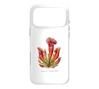 Scarlet Belle Plant illustration Sarracenia 'Scarlet Belle' Case for iPhone 17 Pro Max