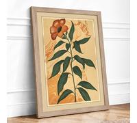 Scarlet Bloom Study Botanical Framed Wall Art Print A3 (42×29.7cm) Oak, Wall Decor for Living Room, Bedroom, Office & Home, Ready to Hang, Art Gift