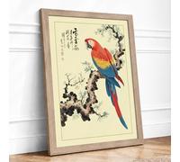 Scarlet Blossom Study Japandi Framed Wall Art Print A2 (59.4×42cm) Oak,