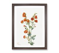 Scarlet Globe Mallow Flowers By Mary Vaux Walcott Vintage Framed Print | A3 Walnut Framed Wall Art | Ready to Hang | Classic Map Picture | Living Room Bedroom Lounge Office