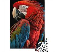 Scarlet Macaw Colorful Feathers 1000 Piece Jigsaw Puzzle Paper for Adults Relaxing Family Game Home Decor 70x50cm/1000pcs
