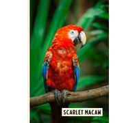 Scarlet Macaw: Funny Wide Ruled Notebook Gift For Scarlet Macaw Lovers - Perfect Scarlet Macaw Gift On Valentine Day/Birthday/Halloween - 6 x 9 Inches - 110 Lined Pages