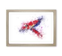 Scarlet Macaw Parrot in Flight in Abstract Framed Print | A2 Oak Framed Wall Art | Ready to Hang | Abstract Animal Picture | Living Room Bedroom Lounge Office