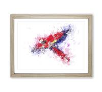 Scarlet Macaw Parrot In Flight In Abstract Modern Art Framed Print | A3 Oak Framed Wall Art | Ready to Hang | Abstract Animal Picture | Living Room Bedroom Lounge Office