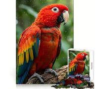 Scarlet Macaw Portrait in The Rain Jigsaws 1000 Pieces for Adults Cognitive Toy Together Fun Image Assembly Art Collection Piece (38x26cm)
