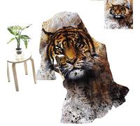 Scarlet Rivera - Dylan Dreams