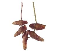 Scary Bloody Broken Body Parts - Convenient Bloody Dead Body Parts | Portable Scary Fake Fingers Eyeballs Horror Props | Fake Human Hands Feet Set for Halloween Decorations