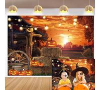 Scary Halloween Backdrop for Photography 8x6FT Halloween Eve Backdrops for Parties Gloomy Devil Pumpkin Scarecrow Background Scary Nightmare Party Banner Decorations Props