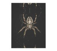 Scary Spider Crystal Sticker, 3D Stereoscopic Effect, Pattern Does Not Fall Off When Exposed to Water