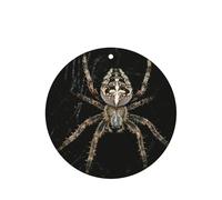Scary Spider Printing 10 Pieces Air Freshener Car Hanging Cards Air Freshener Sheets With Rope For Cars Home