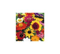 Scatter Seeds: Butterfly and Bees Mixture