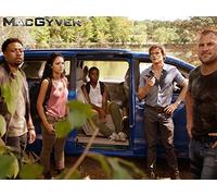 Scavengers + Hard Drive + Dragonfly