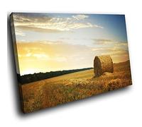 SCC609G Framed Canvas Print Colourful Wall Art - hay Bale Field Farm - Modern Scenic Living Room Bedroom Piece Home Decor Interior Design Easy Hang Guide (150X100CM)