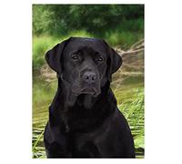 SCDSM Cross Stitch Kits for Adults,Black Labrador Retriever,11CT Cross Stitch Kits,Stamped Embroidery Kits for Beginners,Easy Hand Fabric Craft Kits for Adults UK 40x50cm