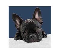 SCDSM Cross Stitch Kits for Adults,French Bulldog,11CT Cross Stitch Kits,Stamped Embroidery Kits for Beginners,Easy Hand Fabric Craft Kits for Adults UK 40x50cm