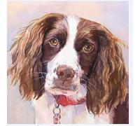 SCDSM Cross Stitch Kits for Adults,Springer Spaniel,11CT Count Pre Printed Stamped Cross Stitch Kit,Embroidery Crafts Kit for Beginners